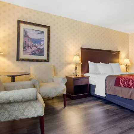 Comfort Inn & Suites Hotels in Levis