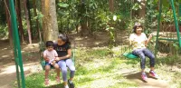 Deep Jungle Home - Lemmikkieläimet sallittu