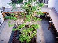 Avemore Eikehoff No 26 Full Power Back up