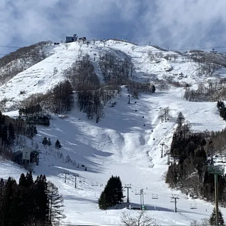 Condominium Hotel Naeba West Отели рядом с достопримечательностью «Наэба»