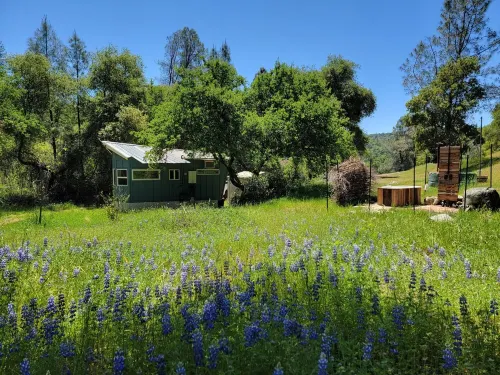 Perfect Getaway on a Beautiful Creek with Trails, Outdoor Bath/Shower, Near Town