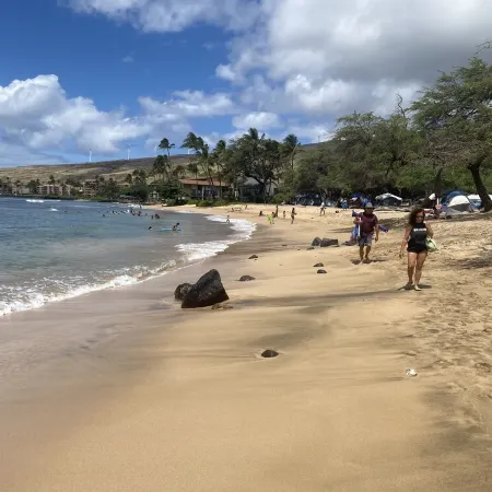 Front-Row Ocean View Retreat, Whales, Sunsets, Steps to Beach, Kanai A Nalu #319