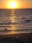 Ocean Reef # 311 Right On The Beach! Breathtaking Views All Around!
