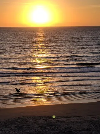 Ocean Reef # 311 Right On The Beach! Breathtaking Views All Around! Отели в г. Нью Смирна Бич