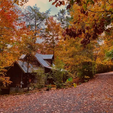 1800's Original Cozy Romantic Cabin For 2 Or The Family