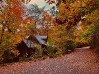 1800's Original Cozy Romantic Cabin For 2 Or The Family