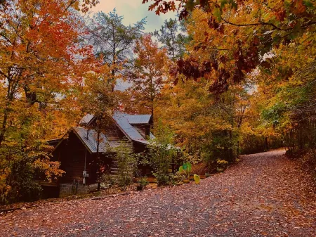 1800's Original Cozy Romantic Cabin For 2 Or The Family