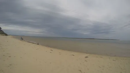 CHA CHA - Pet Friendly-Netflix WiFi