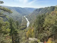 Secluded mountain home on over 10 wooded acres, modern, WiFi and pet friendly!