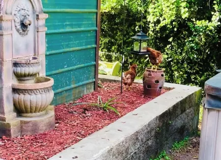 Casa Puka -STUDIO/CABIN