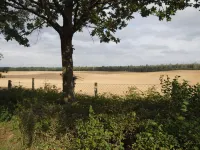 Experience nature and enjoy peace