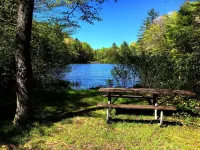 Cozy Appalachian Trail Cabin - Woody Gap & Blood Mountain in Suches, GA