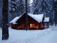 Alpine Woods cabin close to trails, ski in/out