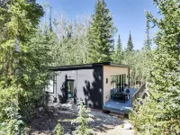 Cozy Mountain Modern Cabin Pet Friendly!