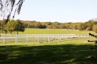 Renovated luxury villa with 7 bedrooms 5 bathrooms. Located on 40 acres of land.