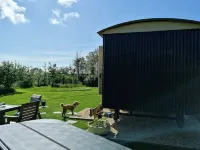 Romantic Apple Tree Shepherd's Hut with optional hot tub and shared EV charger.