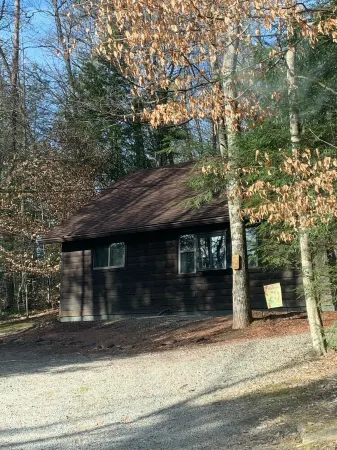 NEW RIVER GORGE CABINS-ALMOST HEAVEN Отели рядом с достопримечательностью «New River Gorge»