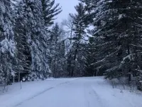 Whitetail Hollow Hotels in Missaukee County