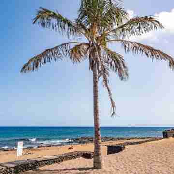 Newly renovated penthouse in a complex with pool on the seafront Fitness & Recreational Facilities