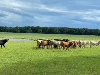 Your family home away from home! Hotels in Murfreesboro