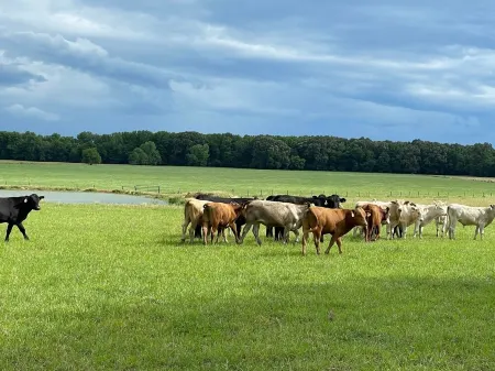 Your family home away from home! Отели в г. Мерфрисборо