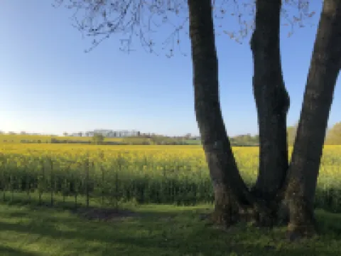 Ferienwohnung mit Weitläufigen, Parkähnlichen Garten, Pavillon und Bouleplatz Hotels in Bosau