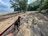 Enid Lake's charming 3-bedroom cabin with WiFi and AC in quaint Plum Point