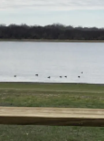 Lakehouse Birdwatcher Paradise Hotels in Live Oak County