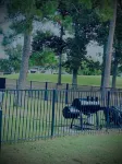 Come relax at a private home at Walden on Lake Houston.