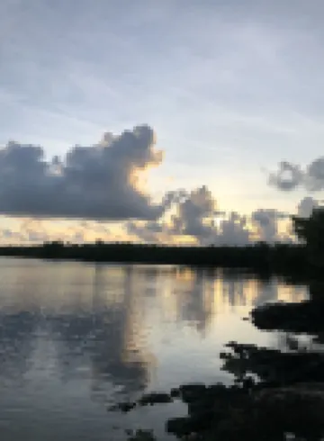 Fisherman's dream!!, Privacy, Heated Pool,Hot Tub, 50' Dockage, Tiki, pets ok,