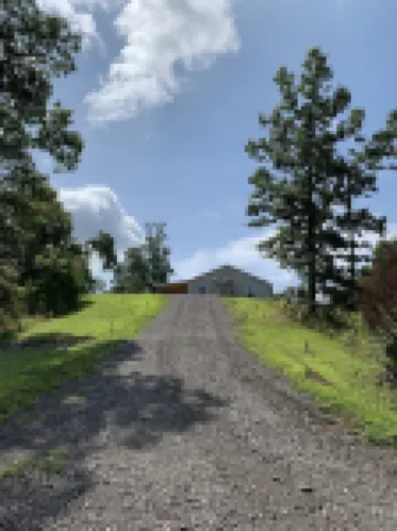 Sweet Little Bee Hive in the Ozarks!