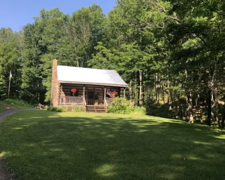 ~ Cabin in the Wildwoods ~ Secluded ~ Rustic ~ Family Friendly~ Pendleton County otelleri