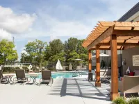 Hampton Inn Tuscaloosa-University Hotels in Tuscaloosa County