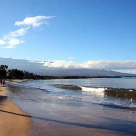 Amazing Ocean Front at Sugar Beach Resort #519, High End Remodel, 1Bed/1Bath