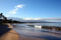 Amazing Ocean Front at Sugar Beach Resort #519, High End Remodel, 1Bed/1Bath