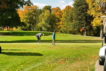 Ski & Golf Spacious Log Cabin in Otsego Resort