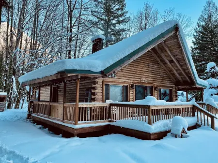 Mountain Thyme Cabin in Baring
