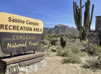 La Casita Bonita! Spa, pool, solitude - mins to Sabino Canyon