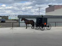 Charming cottage in the heart of Amish County