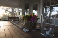 Private Island - Soulfully Peaceful Access to Nature & Wildlife Watching