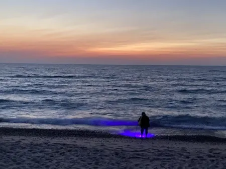 A Stone's Throw from Lake Superior, the bay and downtown pet friendly