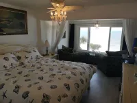 LIVE ON THE BEACH. Gulf Beach Front - Spectacular views.