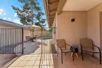 Old Town, Sun Devils, Tempe, Papago, Zoo, Cubs, Giants, WM Open, and more!