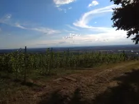 Loft vacation apartment near Baden-Baden Hotels in Bühl