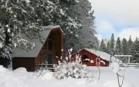 Amazing property & Shasta views, private lake, dark skies, close to everything
