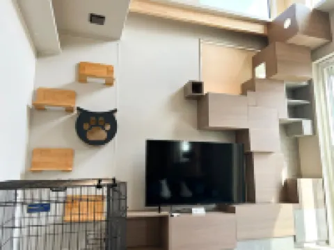 nyans
