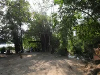 Nita Raft House Hotel di Ban Kao