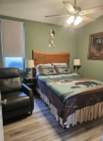 2 bd 2bth, Thomas, WV, near Canaan and Davis, WV skiing, trails, State Parks