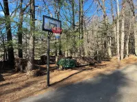 earthship forest exile 템플 호텔