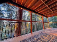 Cozy A-Frame High in The Tree Tops